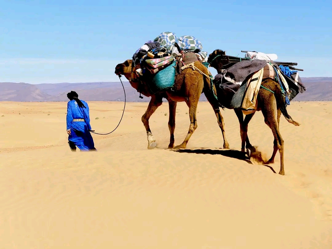 Dunes du désert marocain