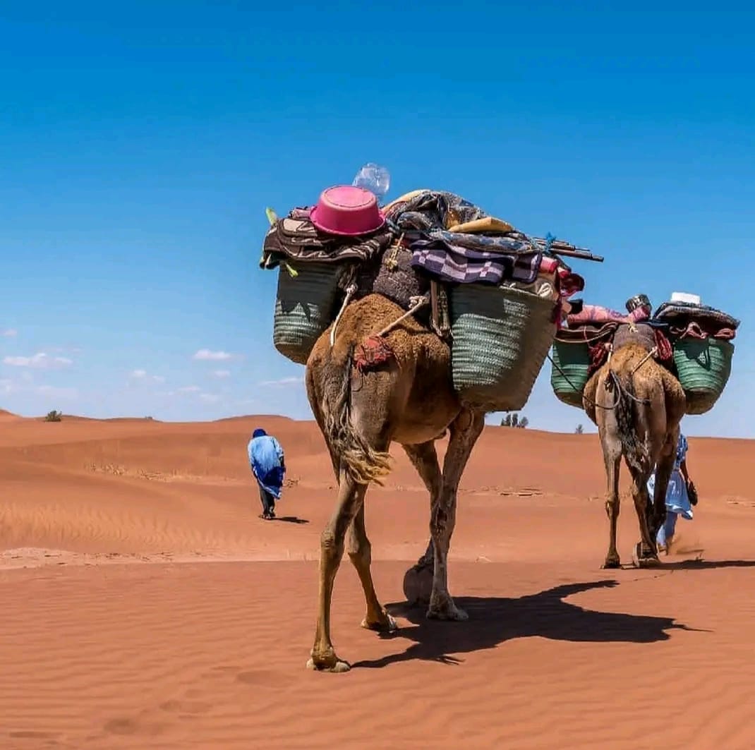 Sur les traces des Nomades